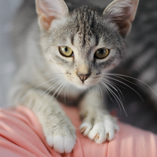 Photo #14053363