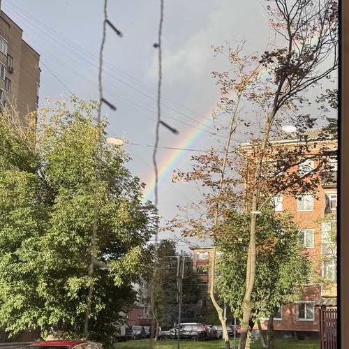 Photo #14053373