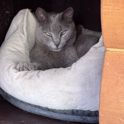 Photo #14053379