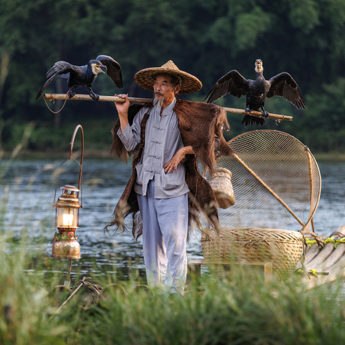 Photo #14053386