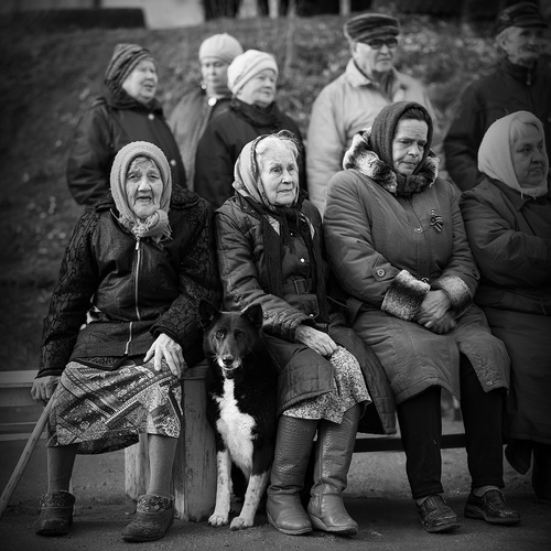 Photo #14053482