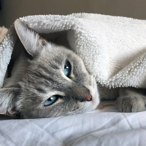 Photo #14053517