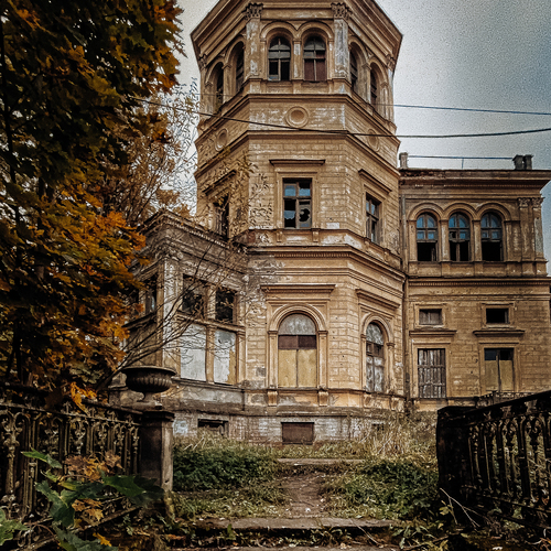 Photo #14053543