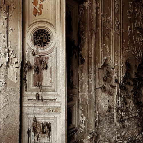 Photo #14053544