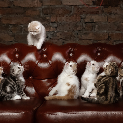 Photo #14053554