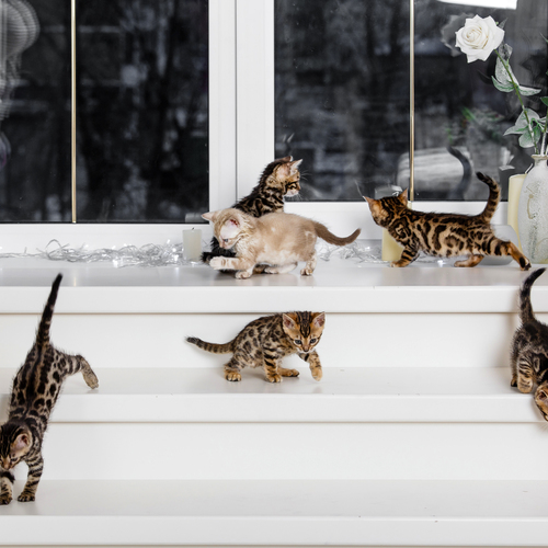 Photo #14053555