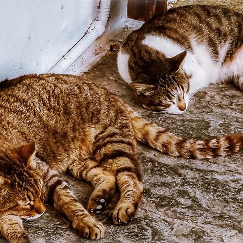 Photo #14053559