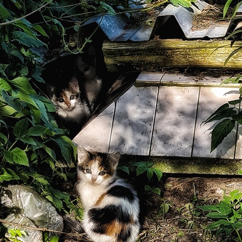 Photo #14053560