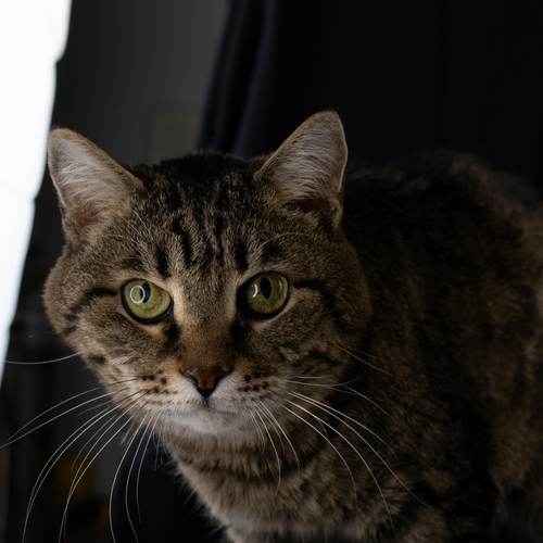Photo #14053570