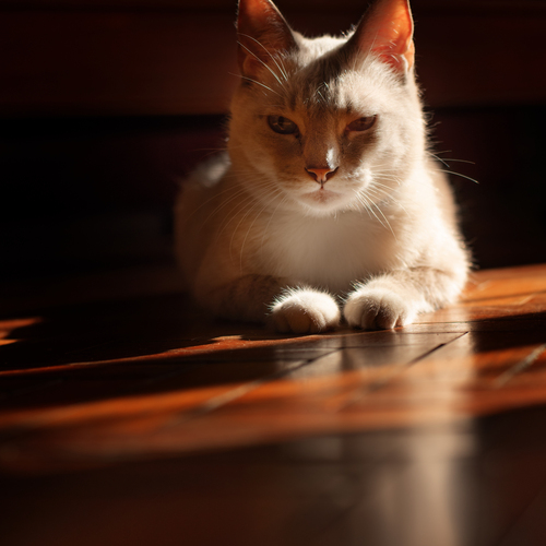 Photo #14053628