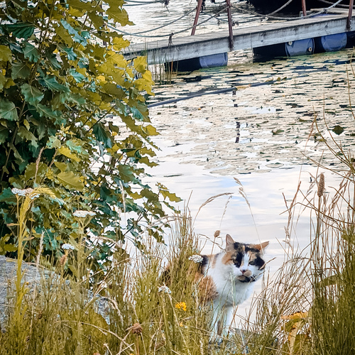 Photo #14053629