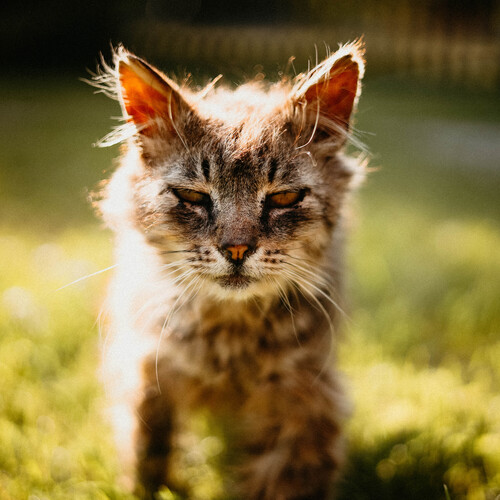Photo #14053754