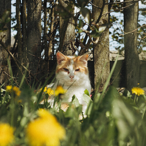 Photo #14053757