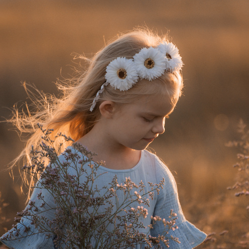 Photo #14053765