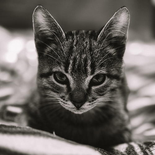 Photo #14053772
