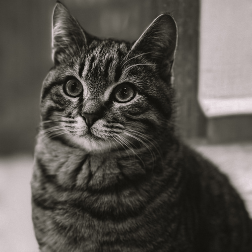 Photo #14053773