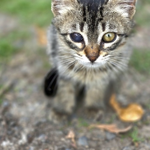 Photo #14053897