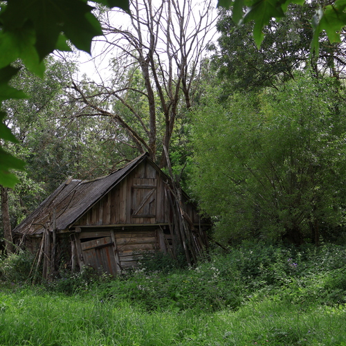 Photo #14053936