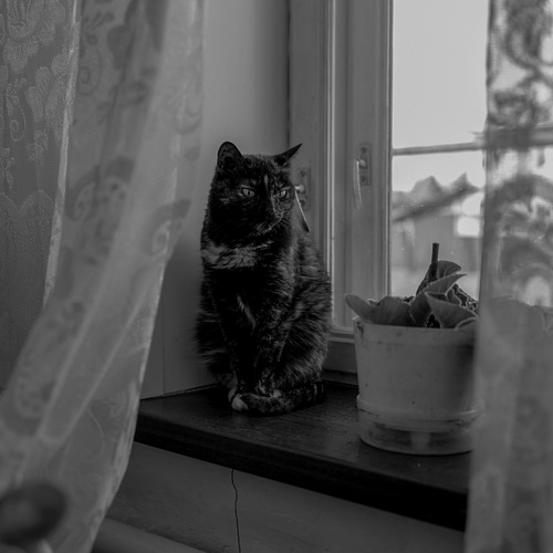 Photo #14053952