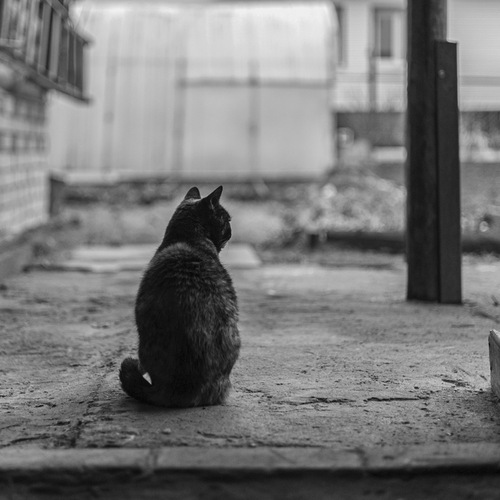 Photo #14053953