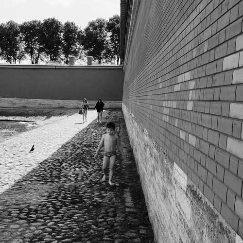 Photo #14053962