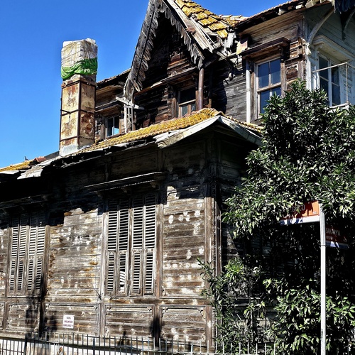 Photo #14053977