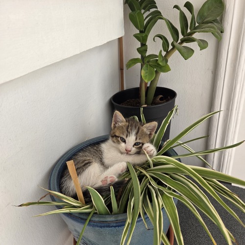 Photo #14053983