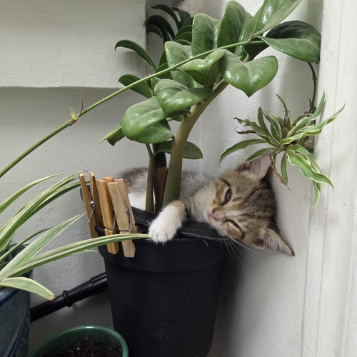 Photo #14053987