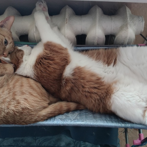 Photo #14053991