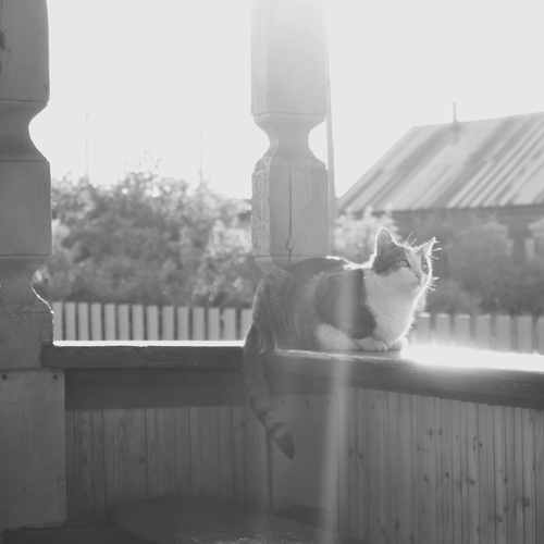 Photo #14054035