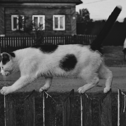 Photo #14054056