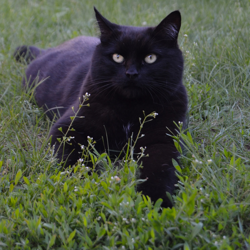 Photo #14054057