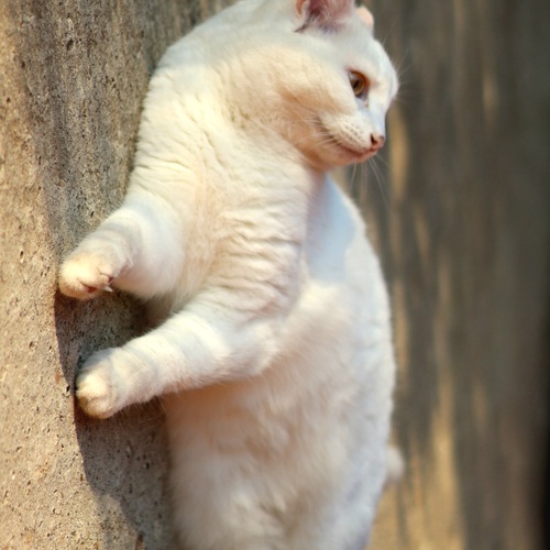 Photo #14054103