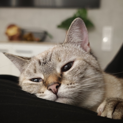 Photo #14054135