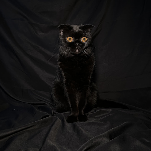 Photo #14054142