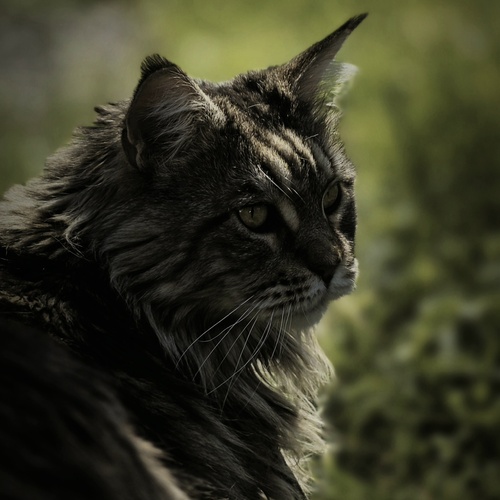 Photo #14054149