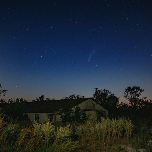 Photo #14054179
