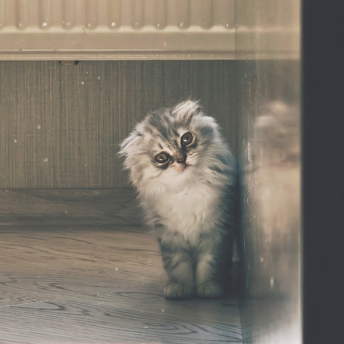 Photo #14054184