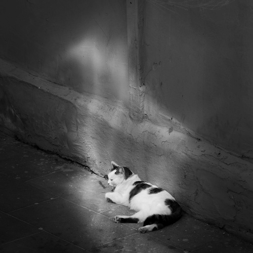 Photo #14054194