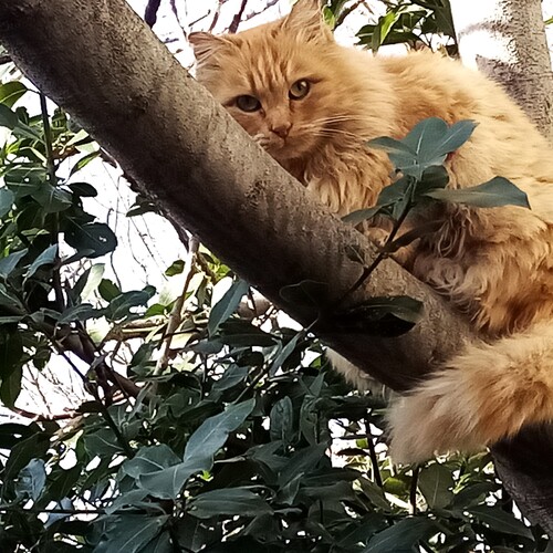 Photo #14054242