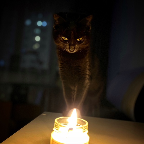 Photo #14054317