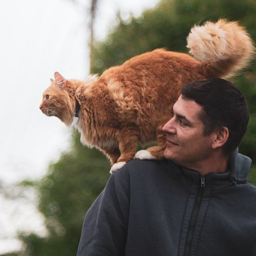 Photo #14054328