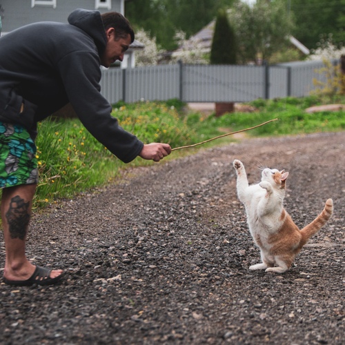 Photo #14054372