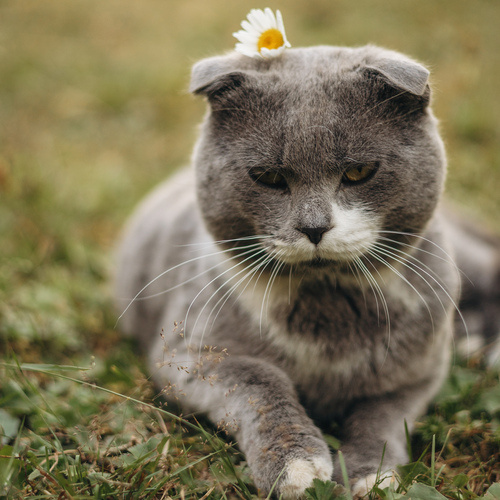 Photo #14054395