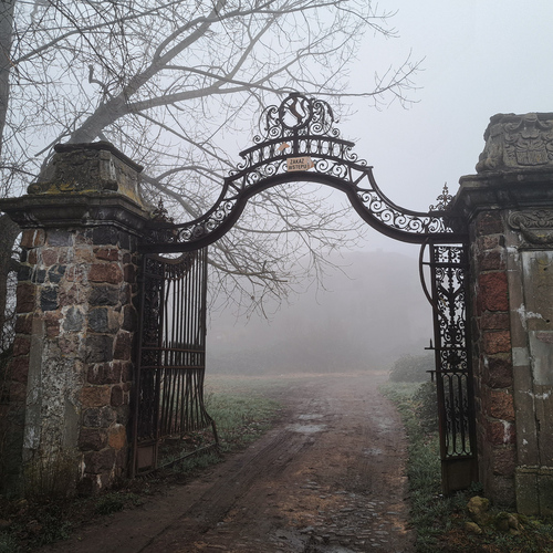 Photo #14054417