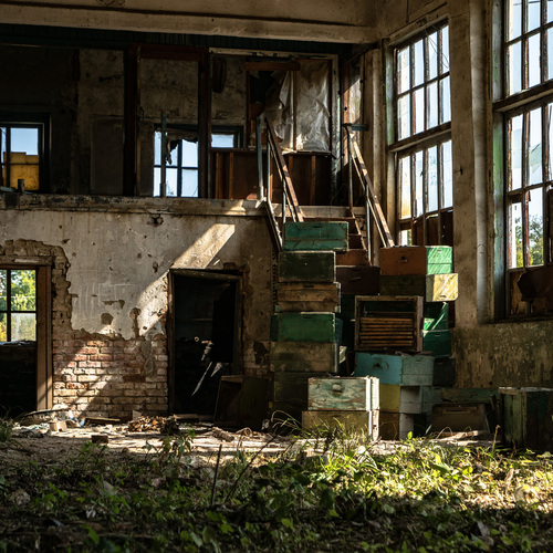Photo #14054425