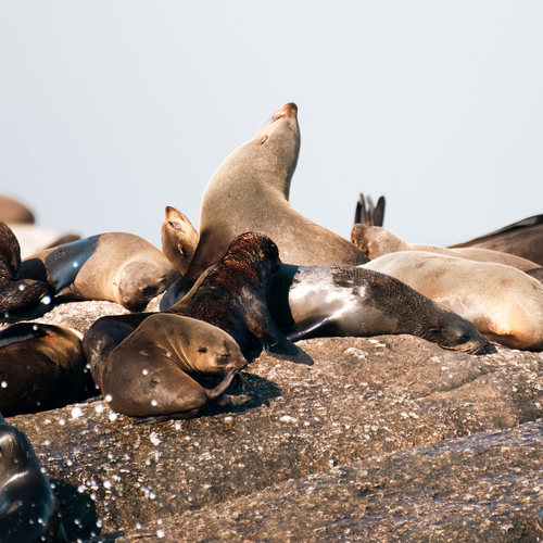 Photo #14054443