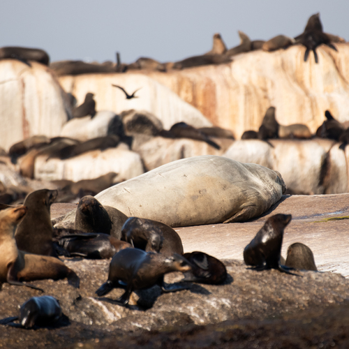 Photo #14054457