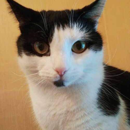 Photo #14054459
