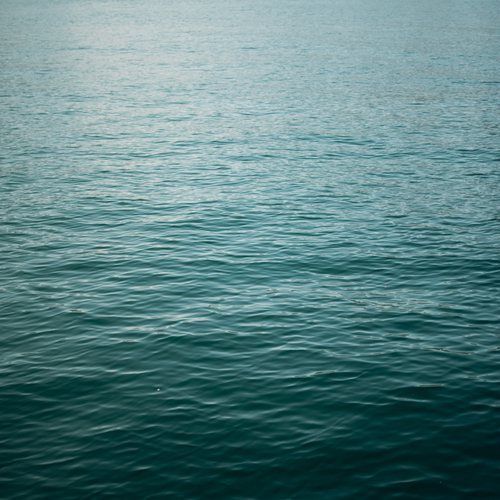 Photo #14054481
